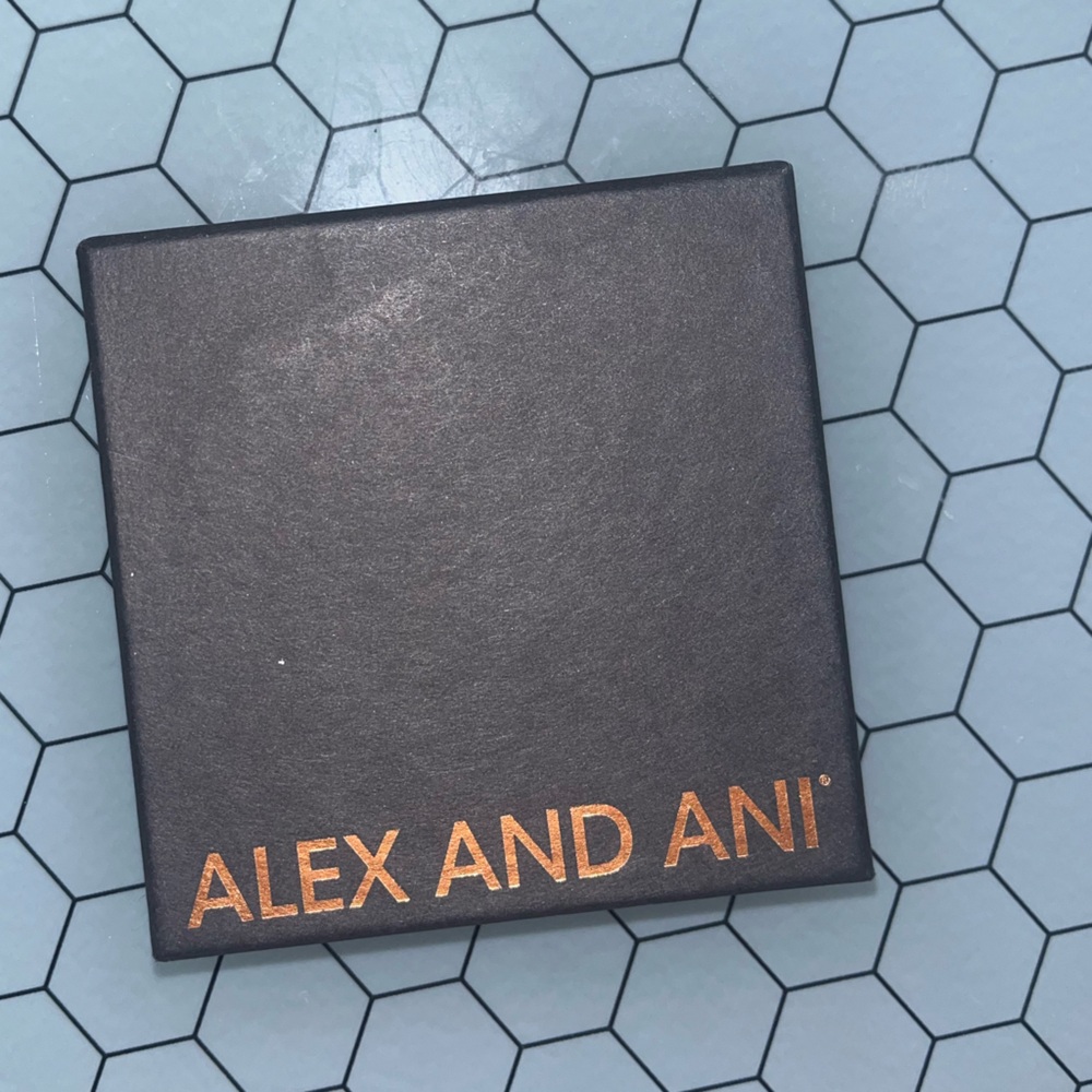 Alex and Ani Silver Bangle Bracelet USA Swimming